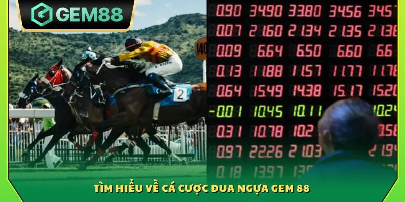 Cá cược đua ngựa Gem88 - Cơ hội thắng lớn từ từng vòng đua 2 Tìm hiểu về cá cược đua ngựa Gem 88