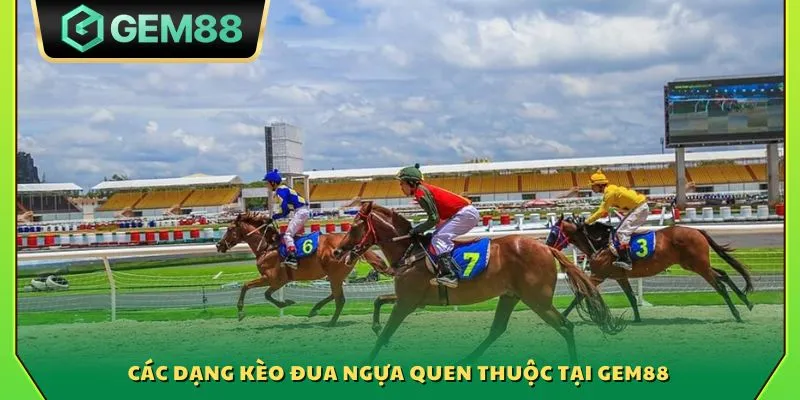Cá cược đua ngựa Gem88 - Cơ hội thắng lớn từ từng vòng đua 3 Các dạng kèo đua ngựa quen thuộc tại Gem88